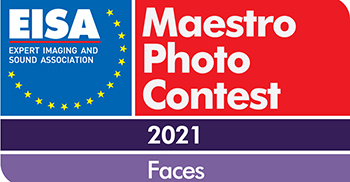 EISA-Maestro-2021-Logo 500x260.jpg