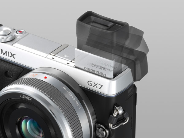 lumix gx7 3.jpg
