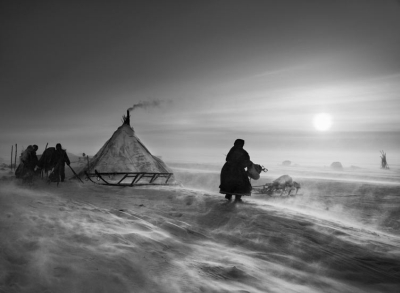 nenets-siberia-salgado kicsi.jpg