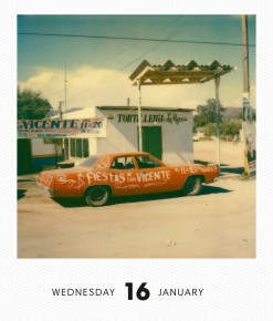 Poladarium_03a-247x290.jpg