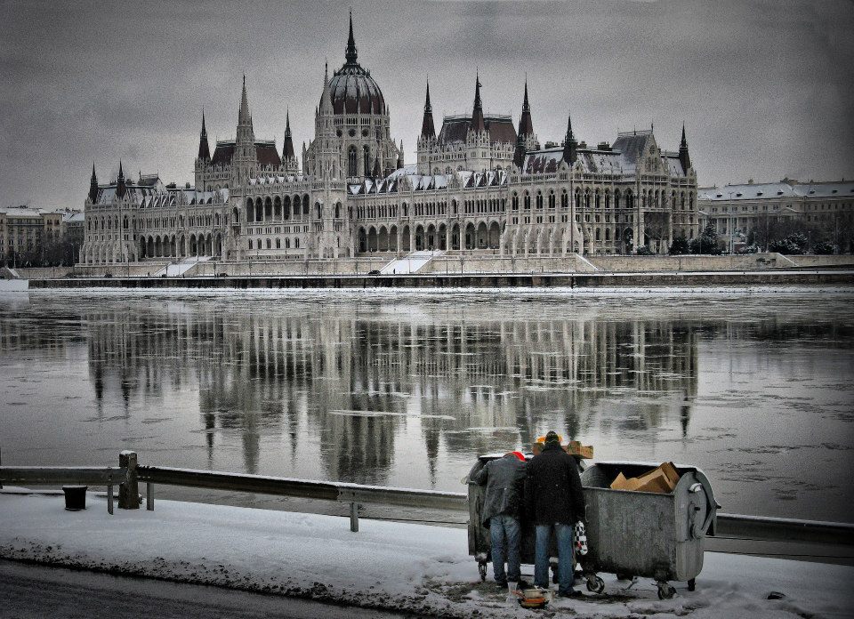 bĂĄrdos.jpg