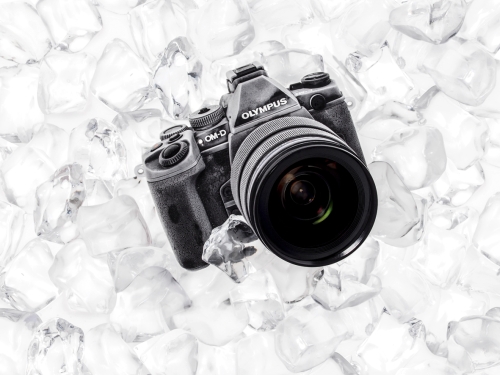 OM-D_E-M1_Olympus kicsi life.jpg