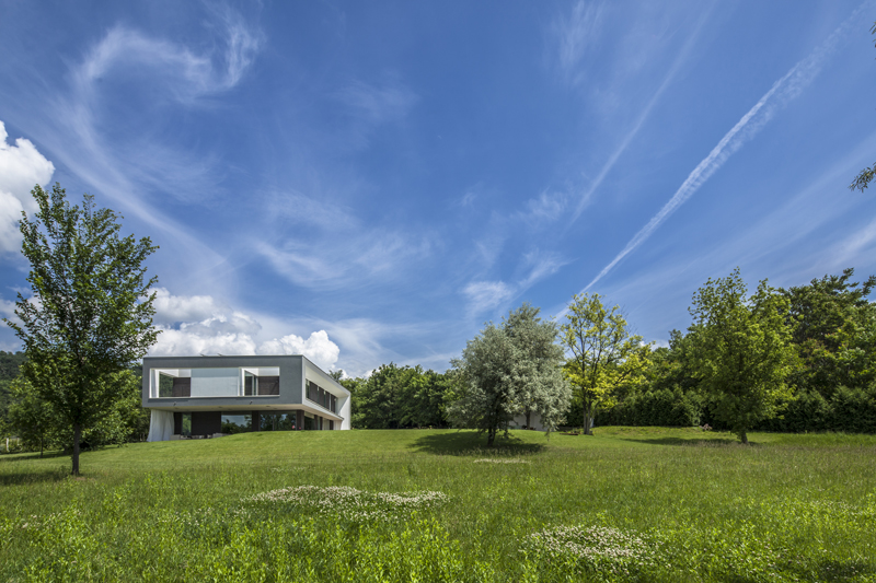 kicsi paty-1297-Edit.jpg