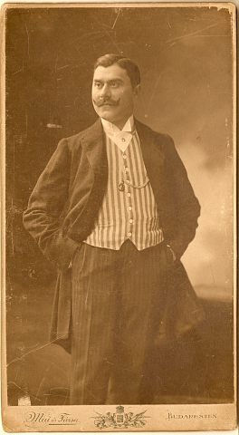 maimano1.jpg
