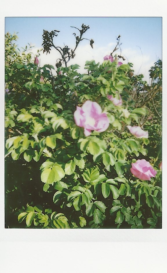 SCAN0558.JPG