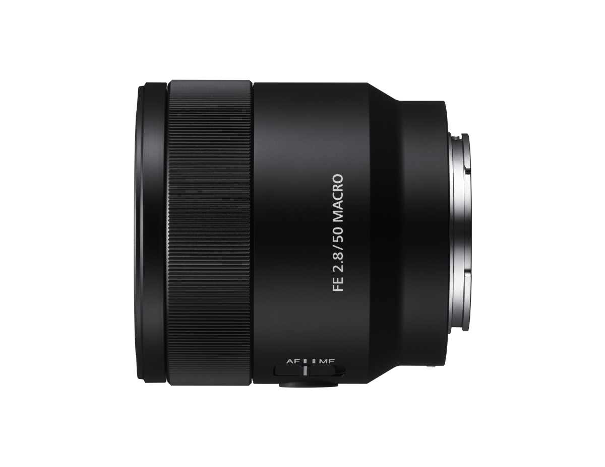 sel50m28_b.jpg