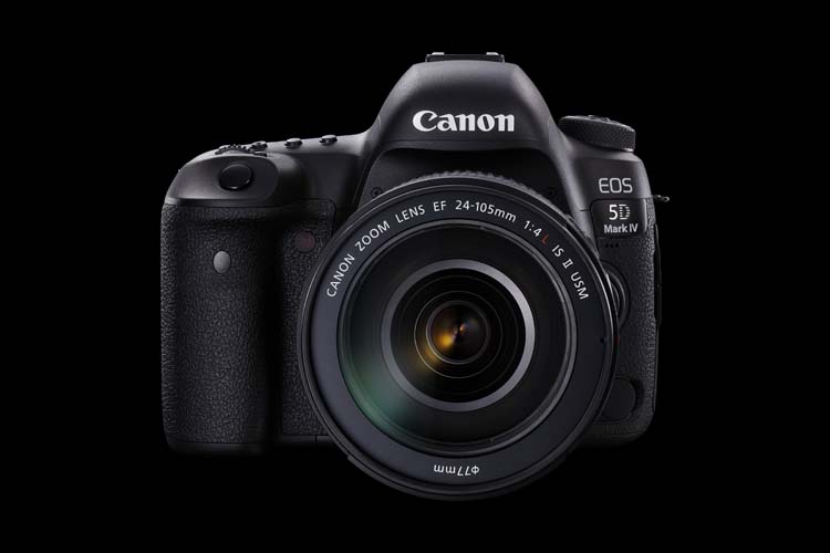 5D Mark IV FRT w EF 24-105mm Beauty.jpg