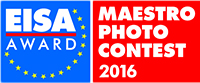 banner Logo maestro 2016.jpg