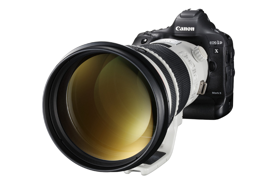 Canon1DxII EF 400mm F2.8 BK BEAUTY LEFT.jpg