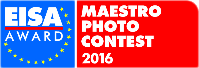 Logo maestro 2016.jpg