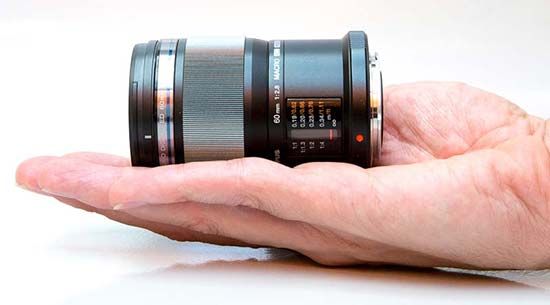 olympus_60mm_macro-kicsi tenyerben.jpg