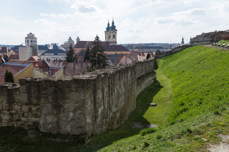 _54A1164.jpg