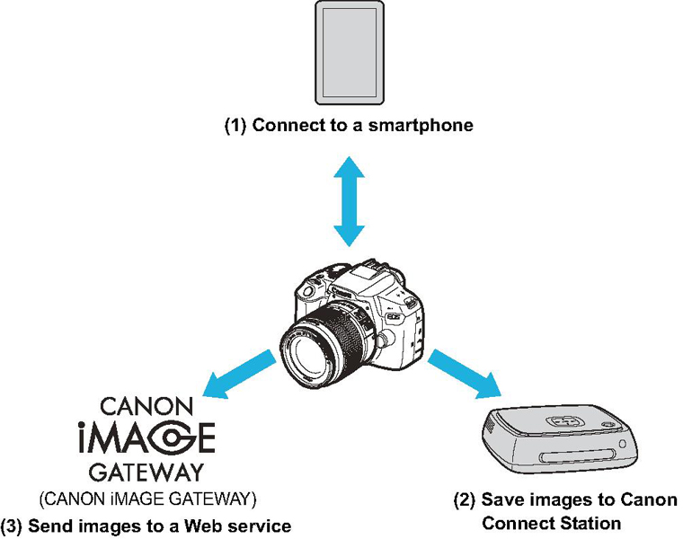 GULL_Tech_Illustration_Fig.7_WirelessFunction.jpg