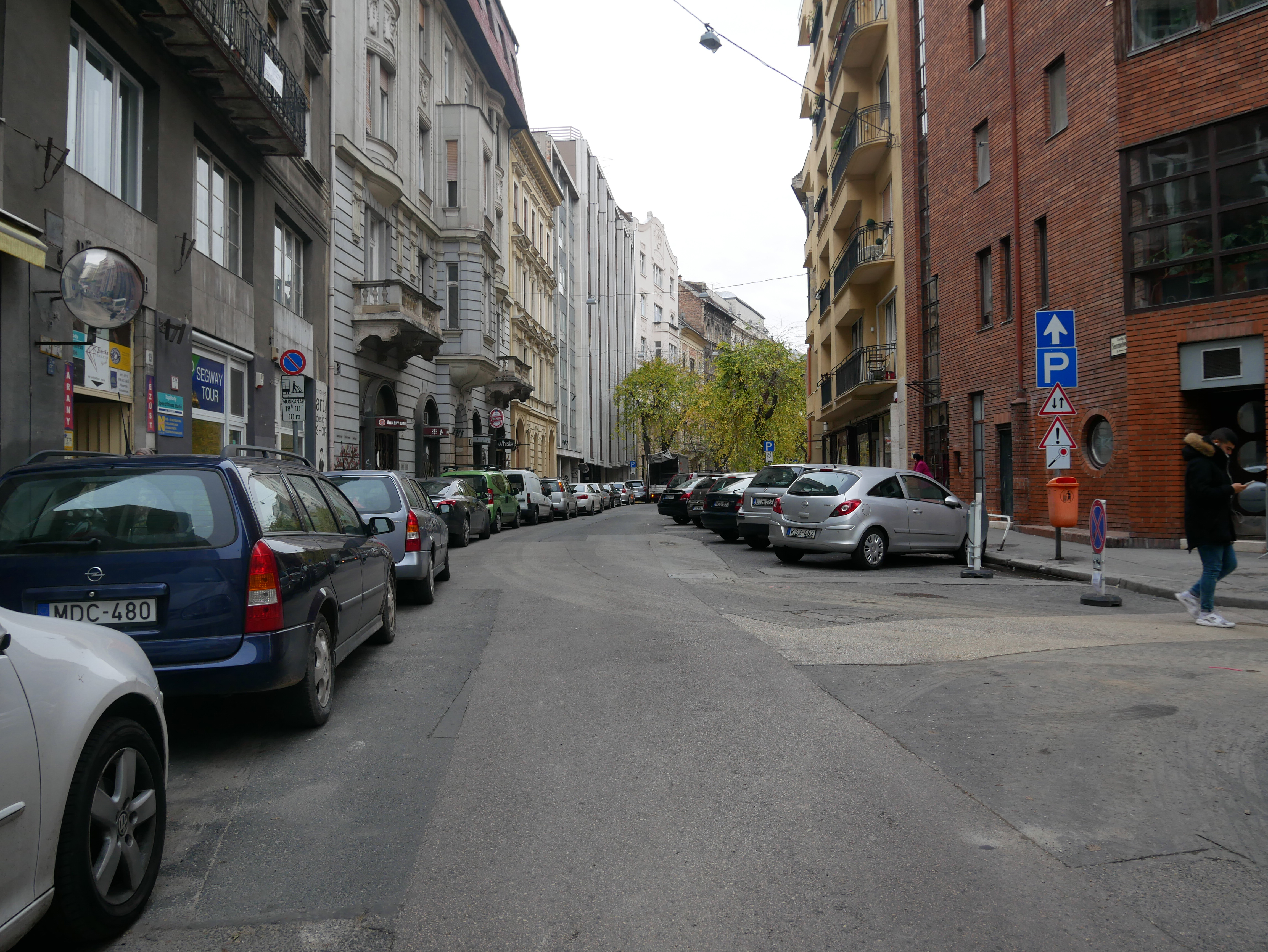 P1050198.jpg