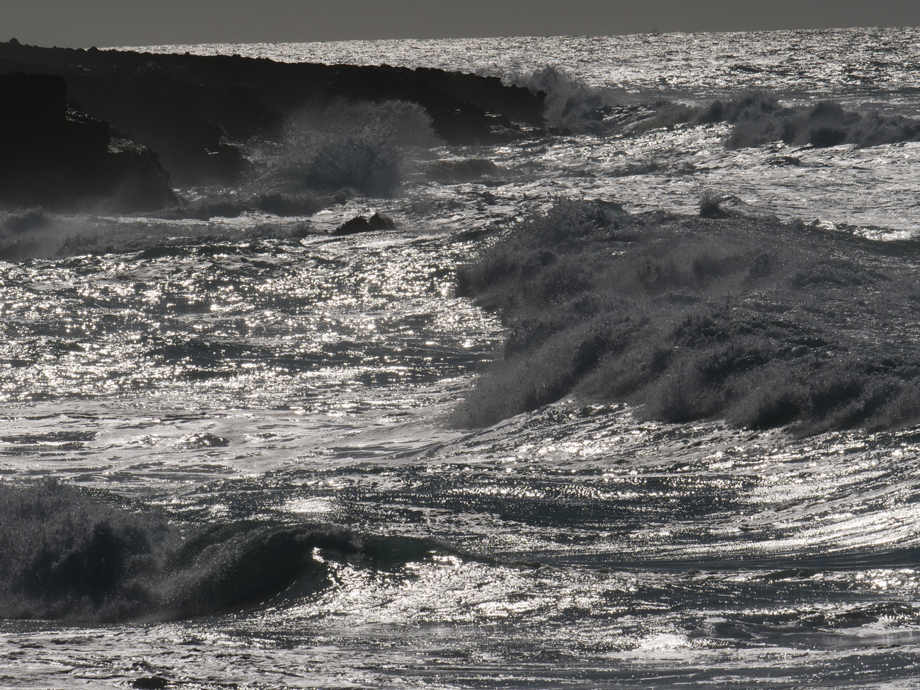 P1000281.jpg