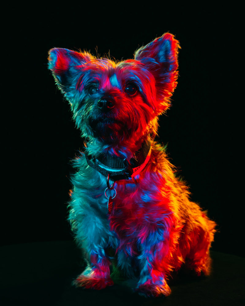 Res-Hues-2-1-800x1000.jpg