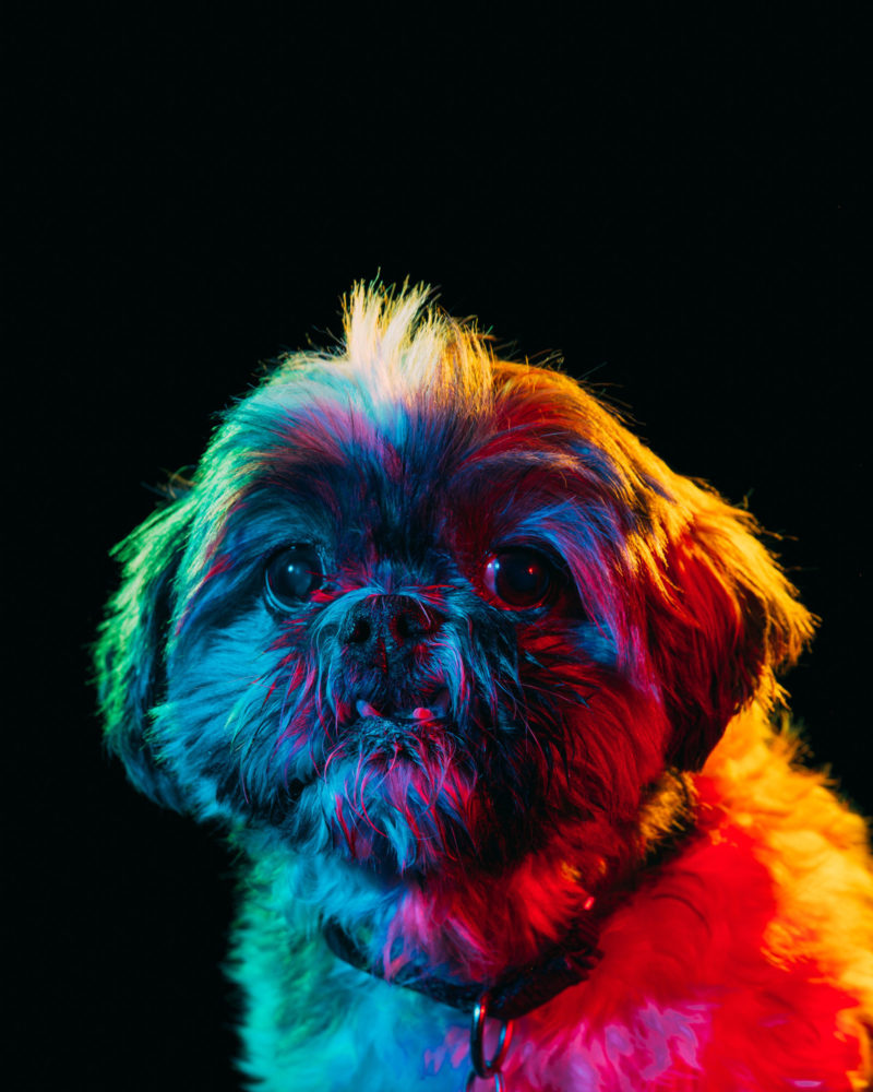 Res-Hues-4-800x1000.jpg