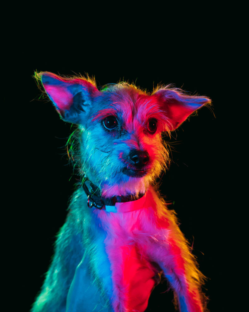 Res-Hues-5-800x1000.jpg
