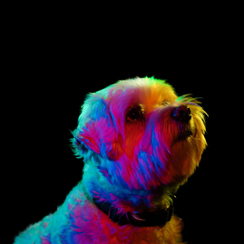 Res-Hues-6-800x800.jpg
