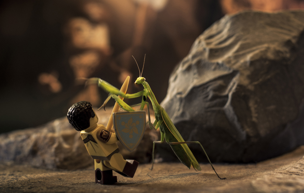 lampert_benedek_mantis_FV.jpg