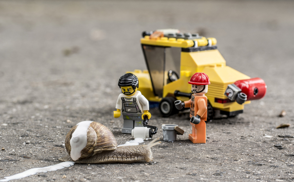 lampert_benedek_snail_FV.jpg