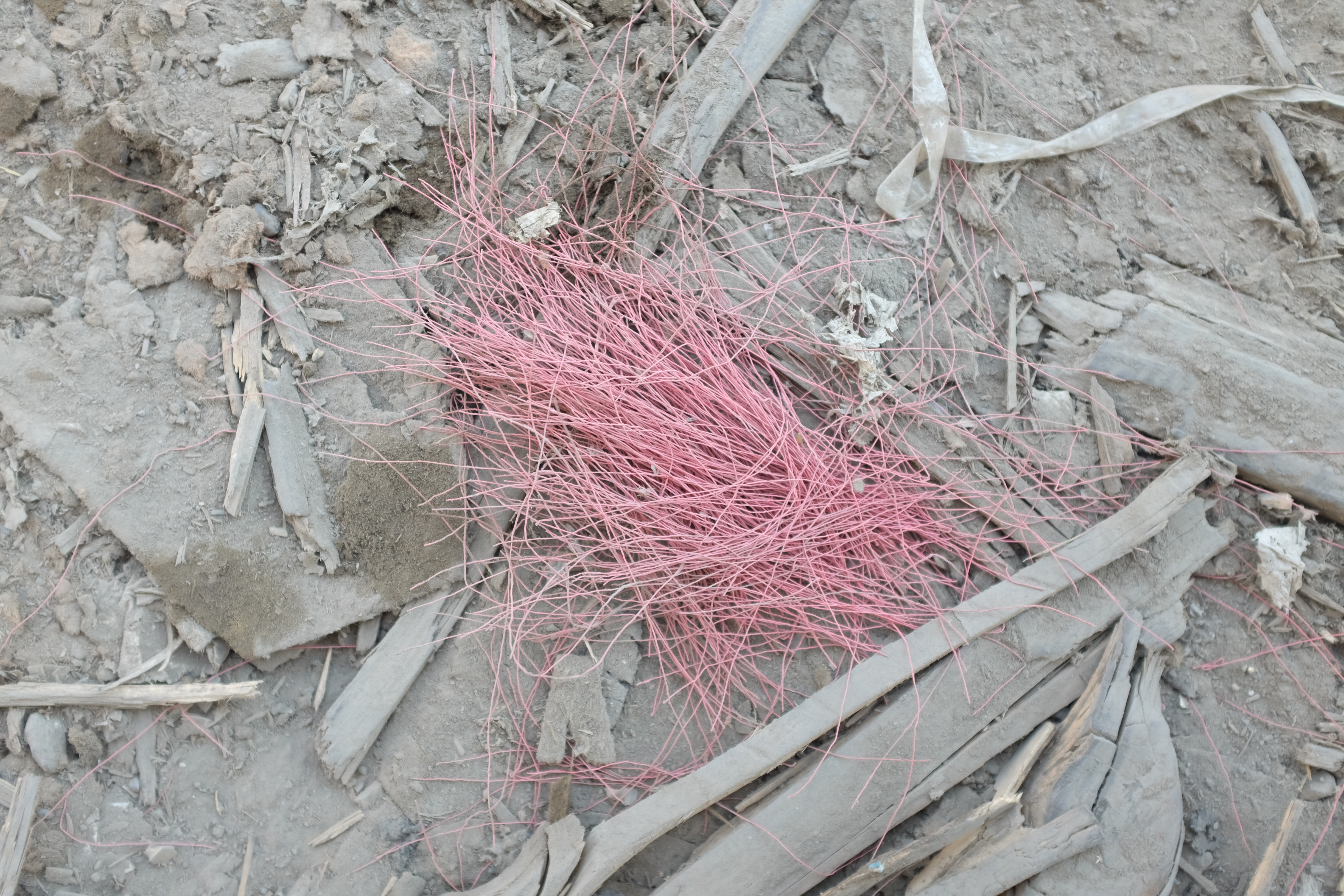 dscf1670.jpg