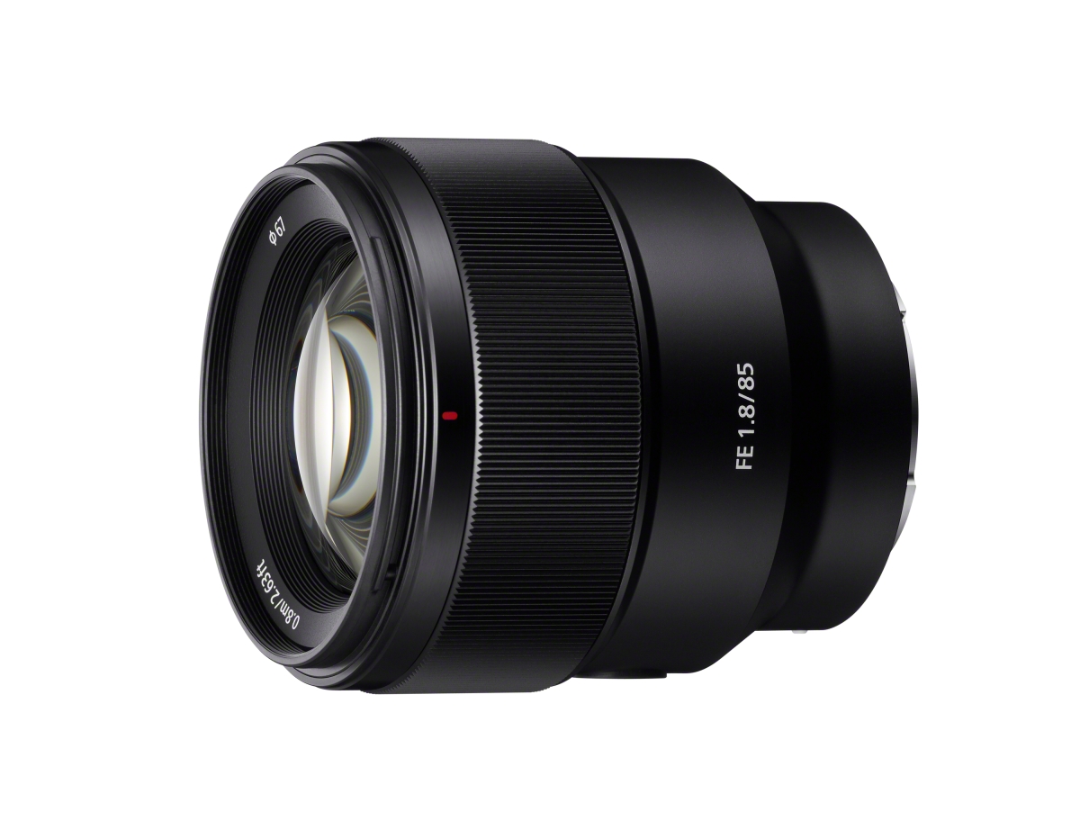sel85f18_a-large.jpg
