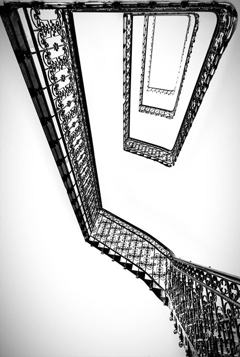 15896239_1352906111421867_8208617378693240309_o.jpg