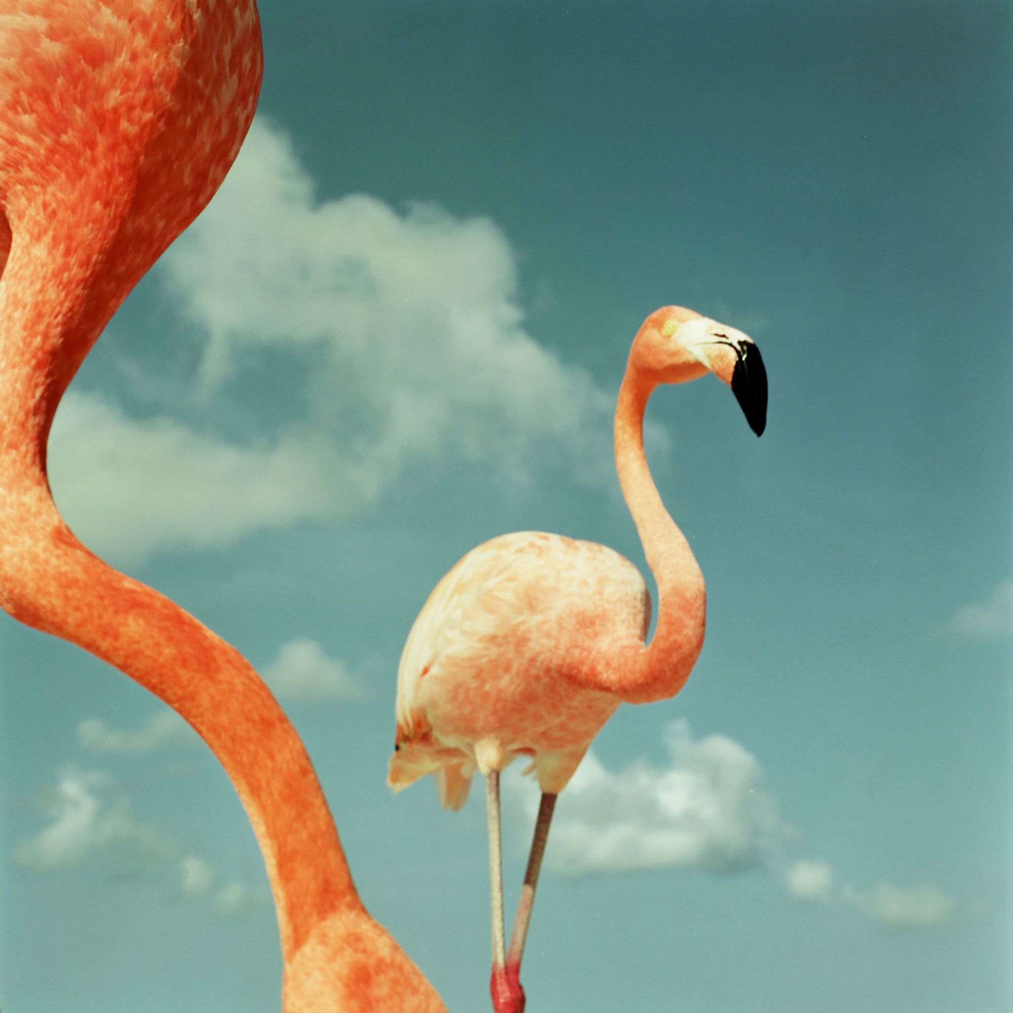 3a07188b-ffe2-4edb-a3d1-41fa0b089c65.jpg