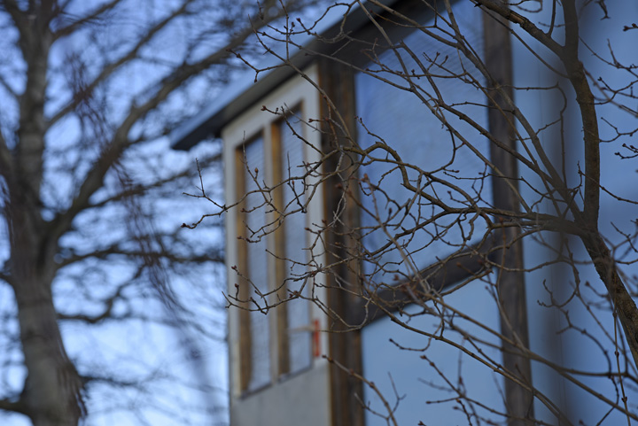 NikonD750b_720.jpg