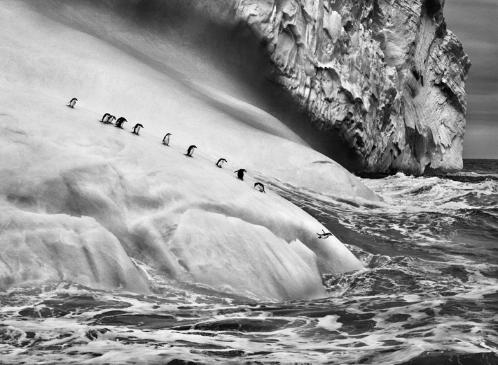 Salgado720_09-7-12440.jpg