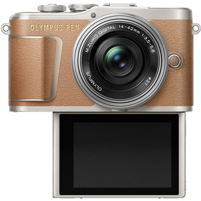 olympusEPL9_brown.jpg