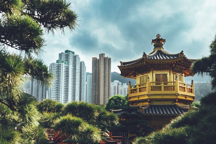 hong1.jpg