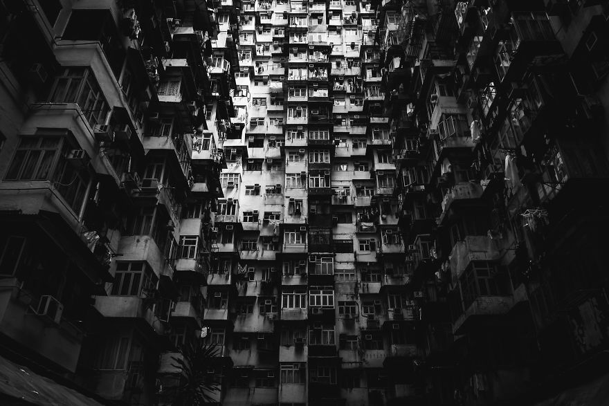 hong11.jpg