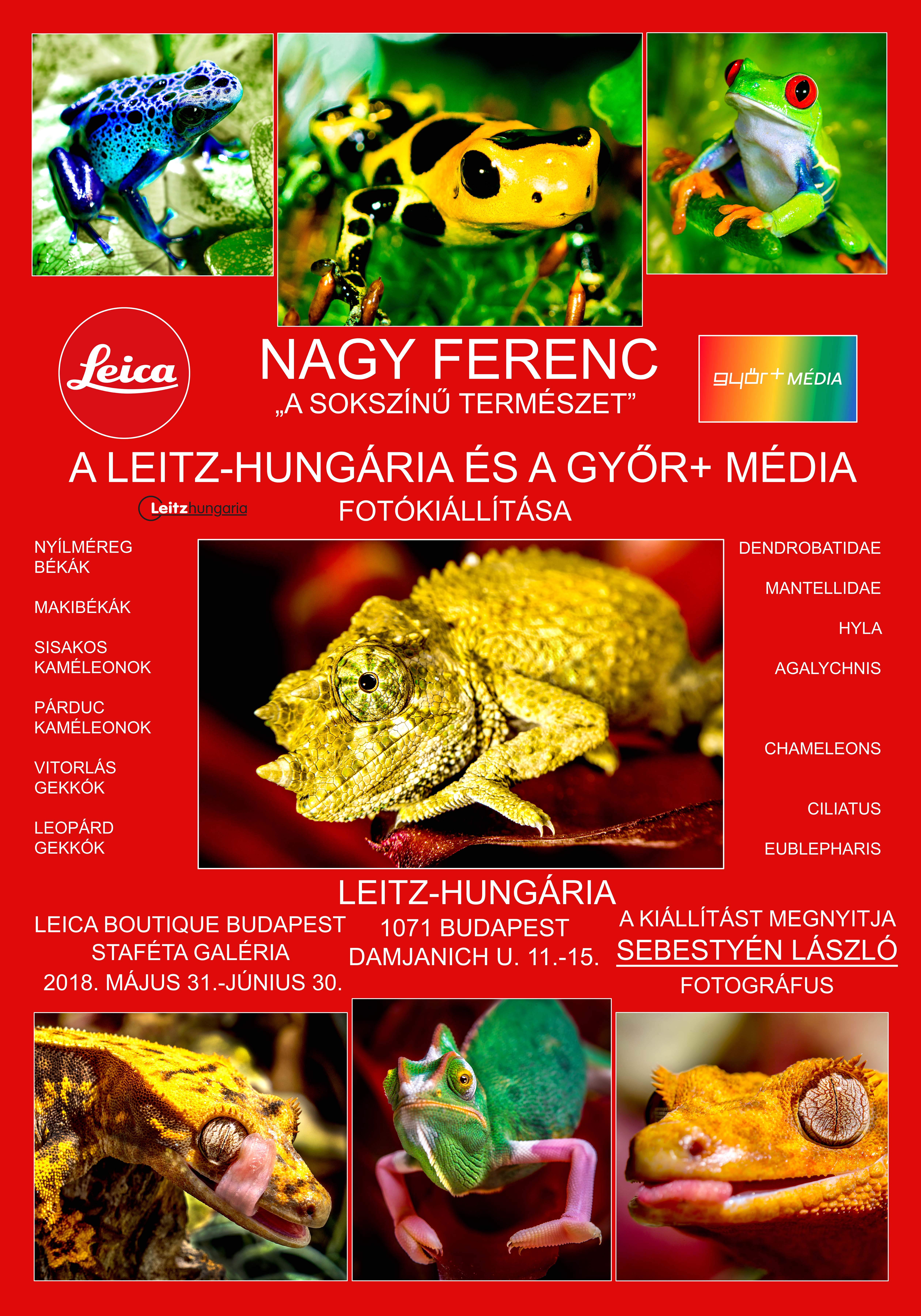 nagyferi-leica-kiallitas_net.jpg