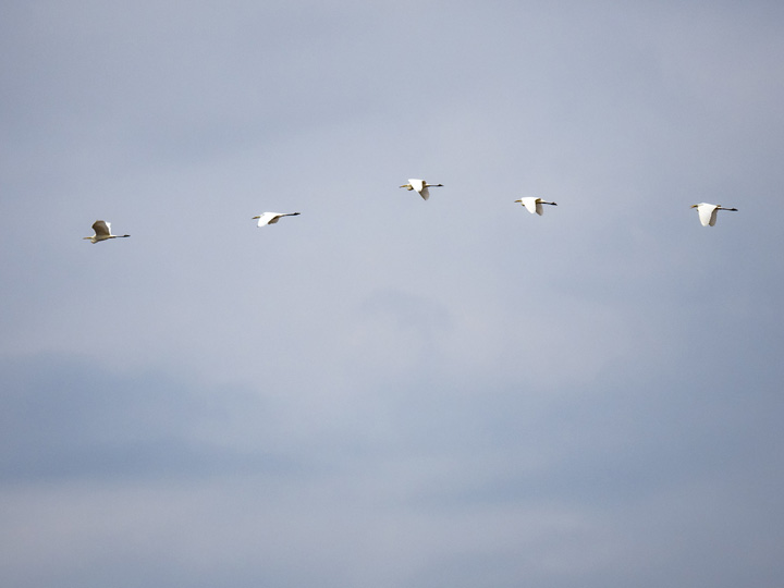 720_20190302_3020578_.jpg