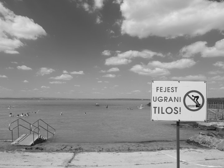 720_20190723_1042289_ff.JPG