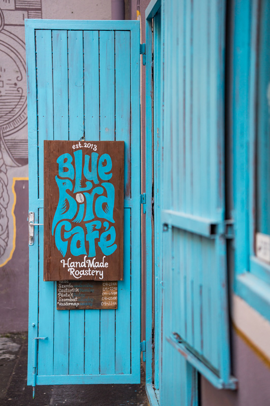 720_20190129_DSC05855_bluebirdcafe.jpg