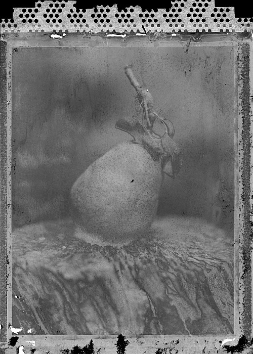 sprenc_balazs_pear_negative.jpg
