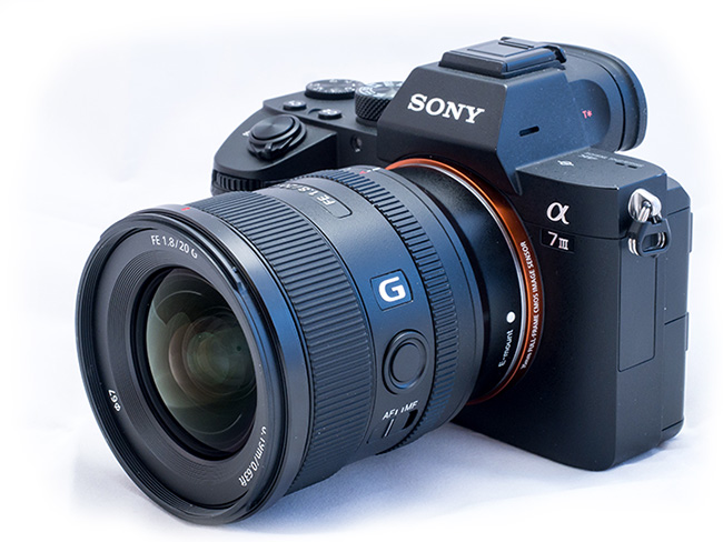 Sony20mm_20200205_1610061_.jpg