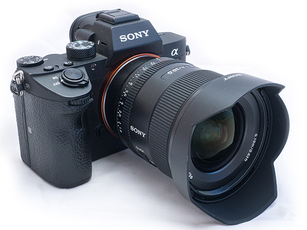 Sony20mm_20200205_1610065_.jpg