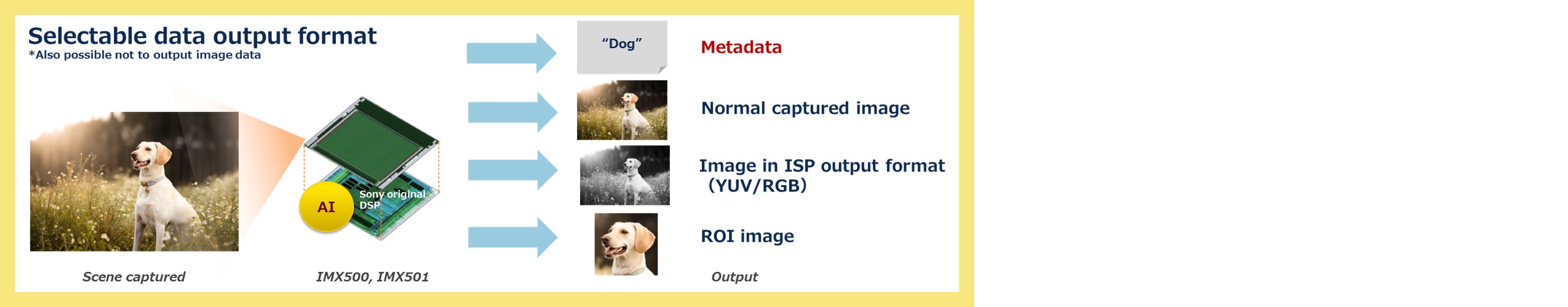 sony IVS_data output.jpg