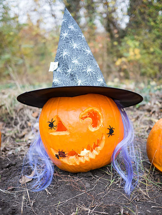 720_20181027_1380773_Halloween.jpg