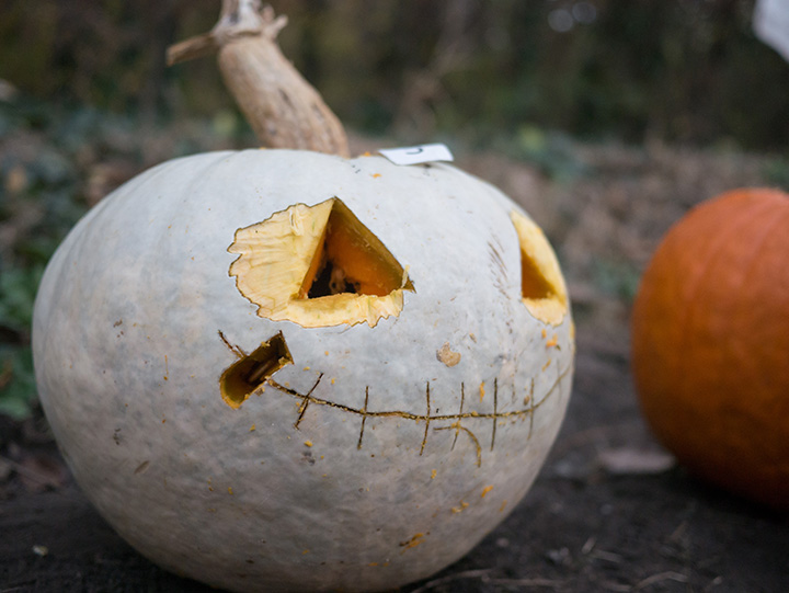 720_20181027_1380781_Halloween.jpg
