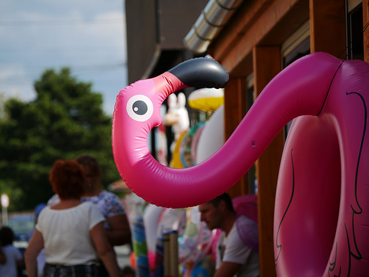 720_20200712_1680841_flamingo.jpg