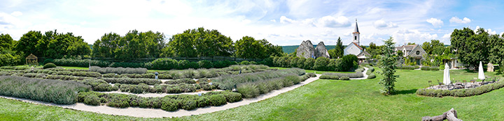 720_20200819_1730373_Dorgicsepanorama.jpg