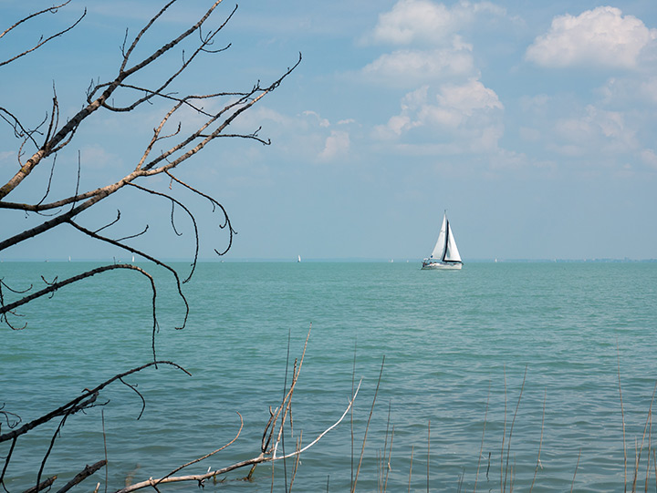 720_20200817_1720432_Balaton.jpg