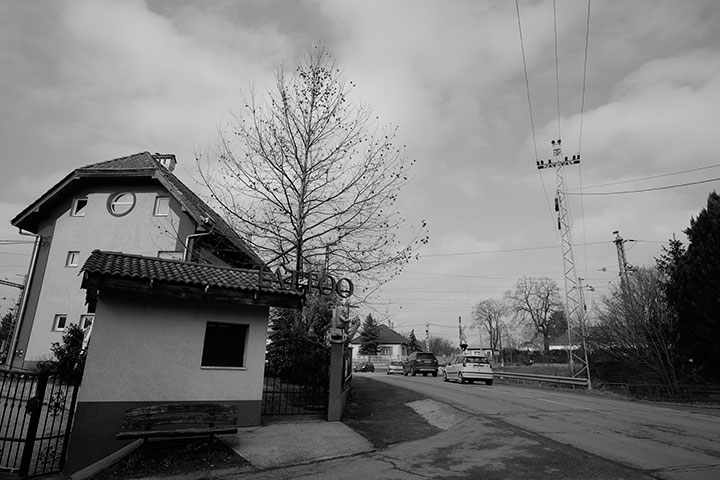 720_20210221_1013085_1013715Mono.jpg