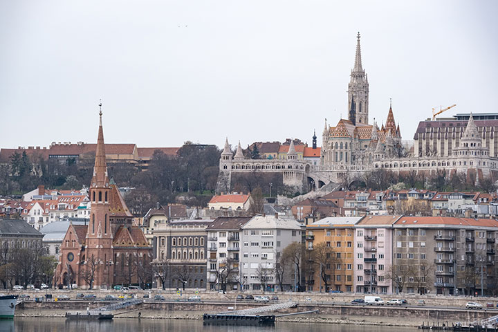 720_20210330_DSCF9600_Buda.jpg