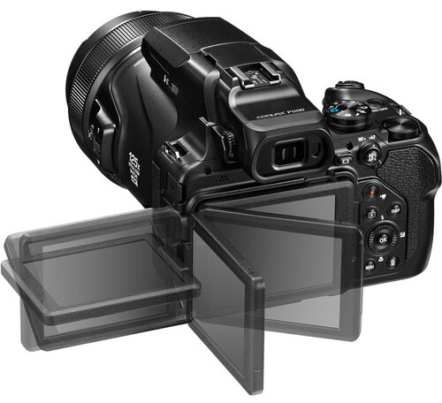 p1100hatul.jpg